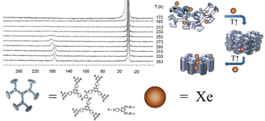 Graphical abstract: Direct 129Xe-NMR spectroscopy evidence of a mesogenic dendrimer with free void space