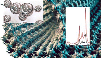 Graphical abstract: Ultrasensitive detection of E. coli using bioinspired based platform