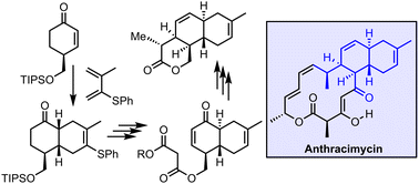 Graphical abstract: Stereoselective synthesis of an advanced trans-decalin intermediate towards the total synthesis of anthracimycin