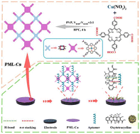 Graphical abstract: Monitoring of trace oxytetracycline using a porphyrin-MOF layer-based electrochemical aptasensor