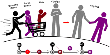 Graphical abstract: Substrate-directed C(sp3)–H borylation via transition metal catalysis: expanding the toolbox for C–H functionalization