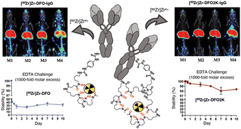 Graphical abstract: Synthesis and evaluation of bifunctional DFO2K: a modular chelator with ideal properties for zirconium-89 chelation