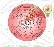Graphical abstract: Advanced electron paramagnetic resonance in chemical energy conversion: current status and future potential