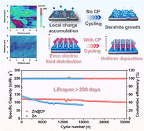 Graphical abstract: Achieving reversible Zn chemistry by constructing a built-in internal electric field to dynamically eliminate local charge accumulation