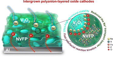 Graphical abstract: Integrated polyanion-layered oxide cathodes enabling 100 000 cycle life for sodium-ion batteries