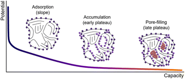 Graphical abstract: An enhanced three-stage model for sodium storage in hard carbons