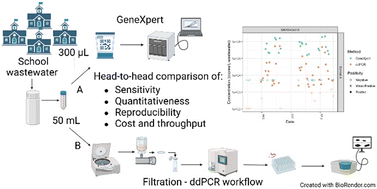 Graphical abstract: Assessment and application of GeneXpert rapid testing for respiratory viruses in school wastewater