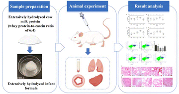 Graphical abstract: Allergenicity evaluation of an extensively hydrolyzed infant formula based on cow milk protein