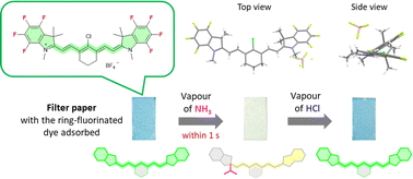 Graphical abstract: A ring-fluorinated heptamethine cyanine dye: synthesis, photophysical properties, and vapochromic properties in response to ammonia