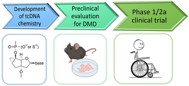 Graphical abstract: The bench to bedside journey of tricyclo-DNA antisense oligonucleotides for the treatment of Duchenne muscular dystrophy