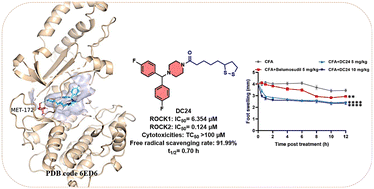 Graphical abstract: The synthesis and bioactivities of ROCK2 inhibitors with 1,2-dithiolan-3-yl motif