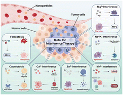 Graphical abstract: Metal ion interference therapy: metal-based nanomaterial-mediated mechanisms and strategies to boost intracellular “ion overload” for cancer treatment