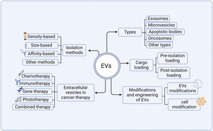 Graphical abstract: Extracellular vesicles: from intracellular trafficking molecules to fully fortified delivery vehicles for cancer therapeutics