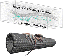 Graphical abstract: Explicating conjugated polymer extraction used for the differentiation of single-walled carbon nanotubes