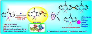 Graphical abstract: BODIPY(aryl)iodonium salts in the efficient synthesis of diversely functionalized BODIPYs and selective detection of serum albumin