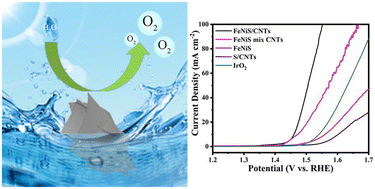 Graphical abstract: Application of changing the valence state of metals through the reaction time for efficient oxygen evolution reaction