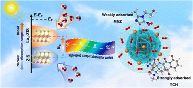 Graphical abstract: Tailoring the d-band center enables La doped ZnIn2S4 to be active for boosting photocatalytic activation of oxygen and degradation of antibiotics in wastewater