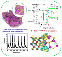 Graphical abstract: A step-scheme mechanism in a NiO/CdS heterojunction nanoarray for visible light-activated gas sensing at room temperature