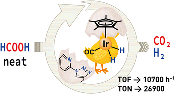 Graphical abstract: Pyridyl–triazole ligands enable in situ generation of a highly active dihydride iridium(iii) complex for formic acid dehydrogenation