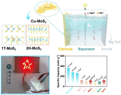 Graphical abstract: Highly defective and conductive Cu-doped 1T/2H-MoS2 nanosheets as high-capacity cathode materials for enhanced magnesium-ion storage