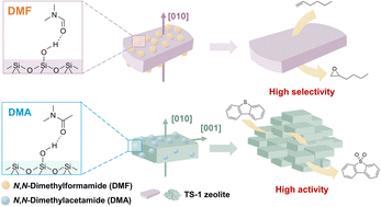 Graphical abstract: Regulation of TS-1 zeolite morphology by crystallization modifiers to boost the oxidative reactions