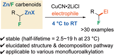 Graphical abstract: Zn/F carbenoids: preparation, structures, stability, and application to nucleophilic monofluoroalkylation