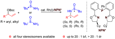 Graphical abstract: Rh-catalyzed asymmetric allylation of tert-butanesulfinamide