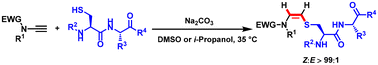 Graphical abstract: An efficient approach to AviCys analogues via regio- and stereoselective hydrosulfuration of ynamides
