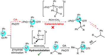 Graphical abstract: Mechanistic insight into Ni(i)-catalyzed regioselective alkene hydroarylation: is it carbonickelation or hydronickelation?