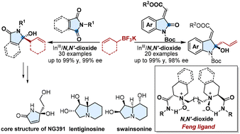 Graphical abstract: Asymmetric α-selective allylation of the amide unit of maleimides and alkenyloxindoles by dual-functional InIII/N,N′-dioxide complex