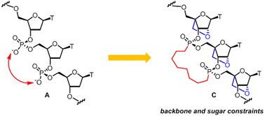 Graphical abstract: Towards combining backbone and sugar constraint in 3′-3′ bis-phosphonate tethered 2′-4′ bridged LNA oligonucleotide trimers