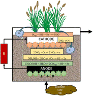 Graphical abstract: Constructed wetlands combined with microbial fuel cells (CW-MFCs) as a sustainable technology for leachate treatment and power generation