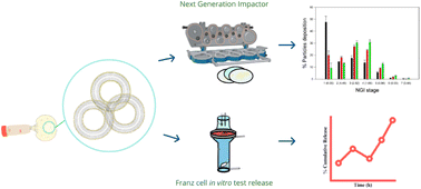 Graphical abstract: Design and comprehensive characterization of dry powder inhalation aerosols of simvastatin DPPC/DPPG lung surfactant-mimic nanoparticles/microparticles for pulmonary nanomedicine