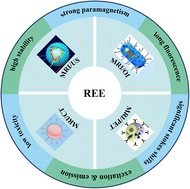 Graphical abstract: Application of rare earth elements in dual-modality molecular probes