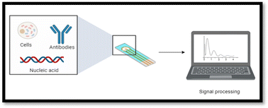 Graphical abstract: Comprehensive analysis of electrochemical biosensors for early ovarian cancer detection