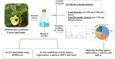 Graphical abstract: Antidiabetic potential of Abelmoschus esculentus leaves and fruits: a comparative study assisted by chemical profiling, in vitro and in silico studies
