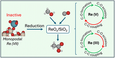Graphical abstract: On the redox mechanism of methanol carbonylation on a dispersed ReOx/SiO2 catalyst