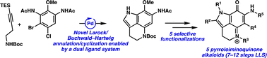 Graphical abstract: Divergent total syntheses of pyrroloiminoquinone alkaloids enabled by the development of a Larock/Buchwald–Hartwig annulation/cyclization