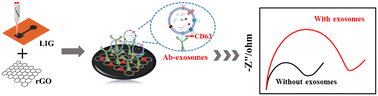 Graphical abstract: An rGO-doped laser induced graphene electrochemical biosensor for highly sensitive exosome detection