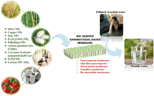 Graphical abstract: A review on bio-inspired nanoparticles and their impact on membrane applications