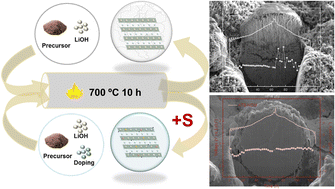 Graphical abstract: Sulfur element achieves rapid and stable migration of Li+ in oxide cathode materials