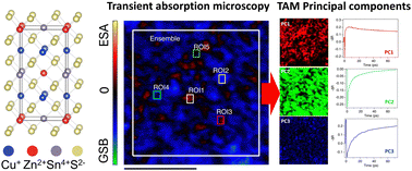 Graphical abstract: Visualization and deconvolution of carrier kinetics within grains of Cu2ZnSnS4−xSex using ultrafast diffuse reflectance microscopy