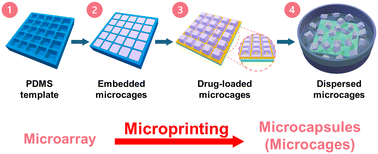 Graphical abstract: Fabrication of uniform biodegradable microcages with predesigned shape printed from microarrays for sustained release of small hydrophilic molecules