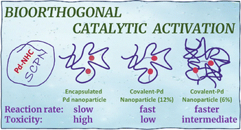 Graphical abstract: Consequences of encapsulated vs. covalently attached Pd-NHC amphiphilic polymeric nanocatalysts in bioorthogonal catalysis