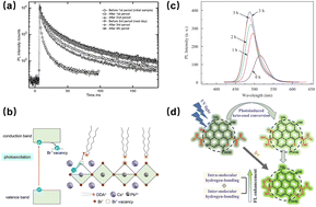 Graphical abstract: Light-induced photoluminescence enhancement in semiconductor nanomaterials: mechanisms and influencing factors