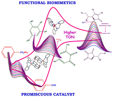 Graphical abstract: Functional biomimetics for copper oxidases: interesting catalytic promiscuity of novel monocopper(ii) complexes