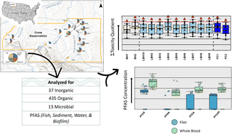 Graphical abstract: Per- and polyfluoroalkyl substances (PFAS) and other contaminants of concern in tribal waters of Montana