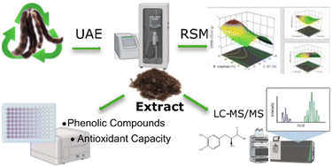 Graphical abstract: Optimization of ultrasound-assisted extraction of antioxidant compounds from Mucuna pruriens pods using response surface methodology: a waste-to-value approach