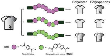 Graphical abstract: Polyesters incorporating biobased monomers for soil-release treatment of synthetic textile surfaces