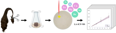 Graphical abstract: Development of a matrix-matched standard for the elemental analysis of human hair by LA-ICP-MS